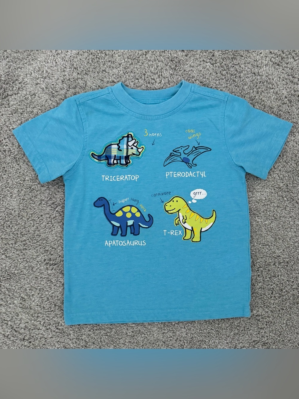Dinosaur Tee